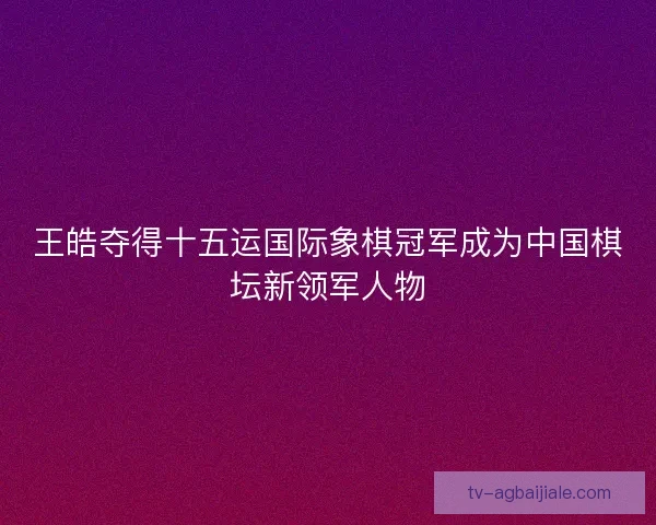 王皓夺得十五运国际象棋冠军成为中国棋坛新领军人物